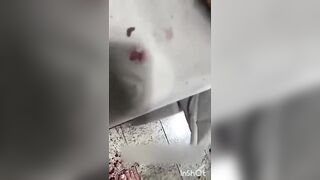 influencer is stabbed 9 times by her boyfriend in live broadcast