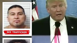 Trump says "Bye Bye" to a whole lot of Illegals so far