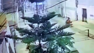Extortionist Blows Himself Up by Accident with the Bomb he meant to Use on Building. Peru