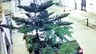 Extortionist Blows Himself Up by Accident with the Bomb he meant to Use on Building. Peru