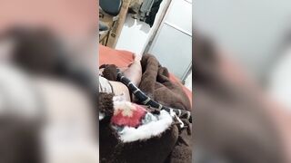 True Nightmare: Man wakes up to King Cobra slithering around in his Bed. Oh hell no!!!