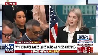 Karoline Leavitt Bodyslams Racist DEI Reporter Who's Disputing The White Farmers being Killed in South Africa