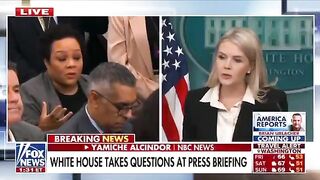 Karoline Leavitt Bodyslams Racist DEI Reporter Who's Disputing The White Farmers being Killed in South Africa