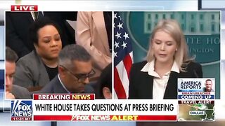 Karoline Leavitt Bodyslams Racist DEI Reporter Who's Disputing The White Farmers being Killed in South Africa