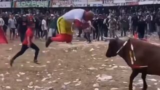 Dead Man does Nose Dive directly into Bull's Horn (Slow Motion Added)