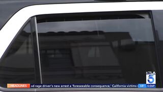 TV crew encounters mental man armed with guns in front of Apple Store in Pasadena