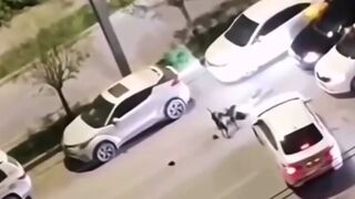 Helpless Woman Attacked by Two Stray Dogs