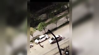 Helpless Woman Attacked by Two Stray Dogs