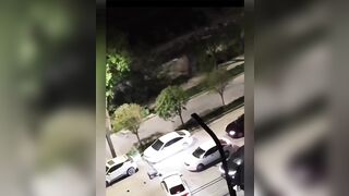 Helpless Woman Attacked by Two Stray Dogs