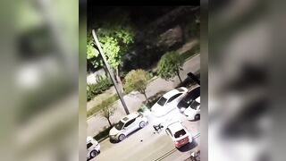 Helpless Woman Attacked by Two Stray Dogs