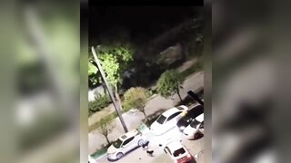 Helpless Woman Attacked by Two Stray Dogs