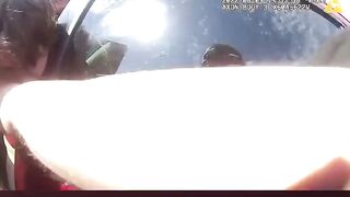 Insane Karen Busted by Cop Fights Bottom less....