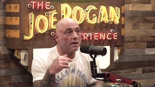 BREAKING: Rogan & Musk Publicly Destroy Bono After He Was Caught Stealing 99% of African Funds (According to AJ)