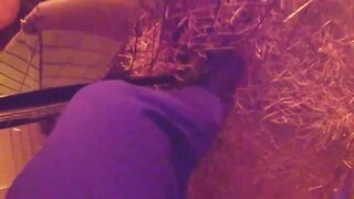 Epic Video of Police saving Kennel of Dogs from Certain Death. Indiana, USA