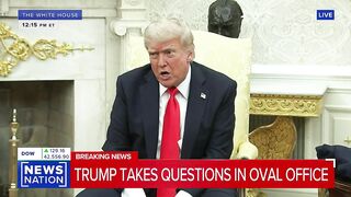 Trump compares Putin and Zelensky to 2 Little Kids fighting in the Park