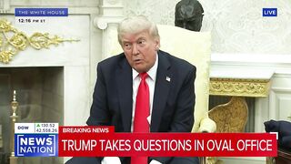 Trump compares Putin and Zelensky to 2 Little Kids fighting in the Park