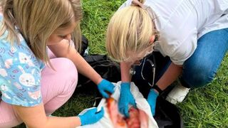 Hours Old Baby is Saved after her Mother threw her out the Window