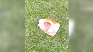 Hours Old Baby is Saved after her Mother threw her out the Window