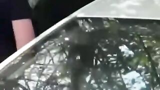 Ukrainian Girls arrested for Dancing to a Russian song "Mother Earth"