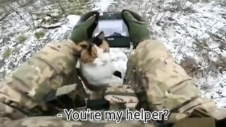 Ukrainian soldier gets a helper while he's controlling a drone