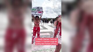 Meanwhile in Paris,group of French Feminists protest the on-going war in Gaza.