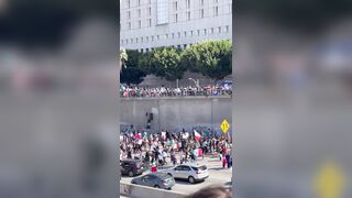 Trump Head on a Stick and More. What is Going on in LA has been Brewing for a LONG Time
