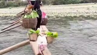 Woman found the Perfect Business Partner, a Goose