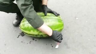 Caught Smuggling Marijuana In Watermelons