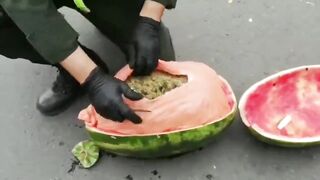 Caught Smuggling Marijuana In Watermelons
