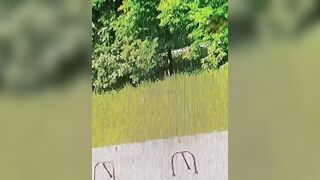 Man lights Himself on Fire and goes Jogging, runs right past Girl on Scooter