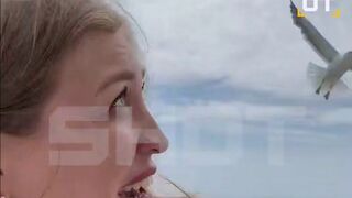 Rare Seagull Attack gets Her that leaves a slice on her Head