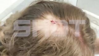 Rare Seagull Attack gets Her that leaves a slice on her Head