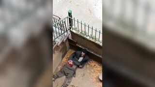 Just imagine seeing this when you look out your Window in the Morning