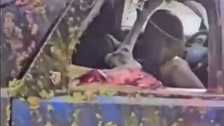 Mess: Driver Hits Moose and somehow Survives to make this Video