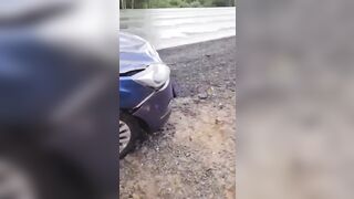 Mess: Driver Hits Moose and somehow Survives to make this Video