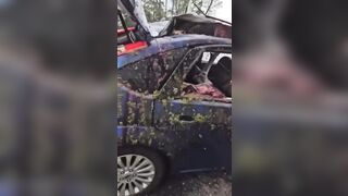 Mess: Driver Hits Moose and somehow Survives to make this Video