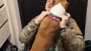 Dog who served on Front Line is Reunited with his Soldier Owner