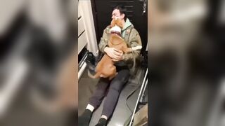 Dog who served on Front Line is Reunited with his Soldier Owner