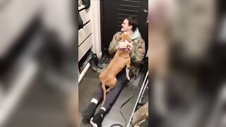 Dog who served on Front Line is Reunited with his Soldier Owner