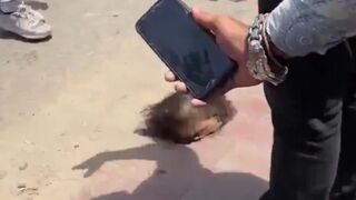 Human Head on the Sidewalk right after the Plane Crash