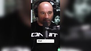 Joe Rogan's Journey from Mocking Christ to Now Sitting in Church.