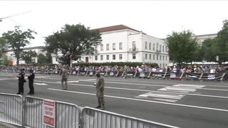king diaper's tiny parade crowds