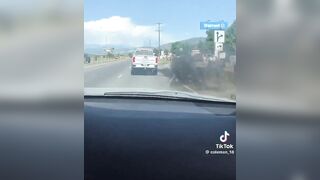 That's how you deal with protesters. “Peacefully”