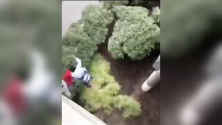 This is the thief version of "Shop till you drop"!