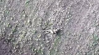 Russian Soldier gives his Last Opinion before being Blown to Bits (Hero in Russia)