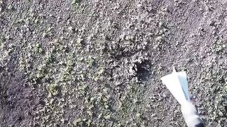 Russian Soldier gives his Last Opinion before being Blown to Bits (Hero in Russia)