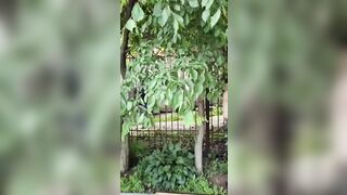 Kindergarten Teacher Shoos Away Illegal from the Playground. Like a rat