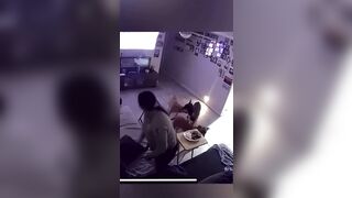No Dogs were Harmed during this Incident (Miraculously) And the People too