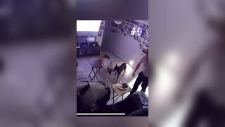 No Dogs were Harmed during this Incident (Miraculously) And the People too