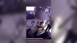 No Dogs were Harmed during this Incident (Miraculously) And the People too